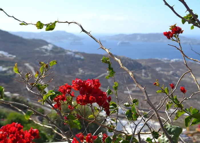 מלון Mykonos Crystal