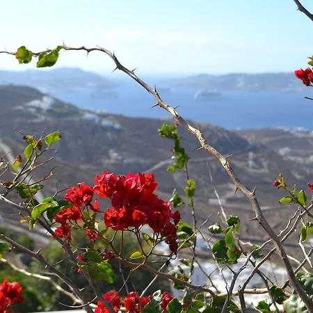 Otel Mykonos Crystal