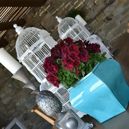 Otel Mykonos Crystal Fanari (Mykonos)